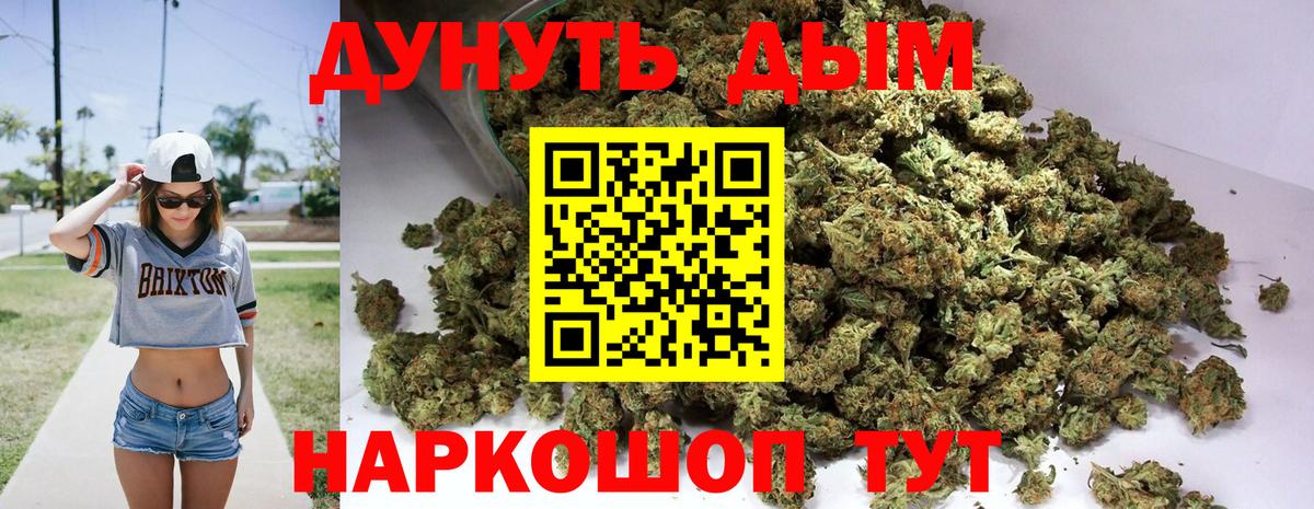 Каннабис OG Kush Кубинка
